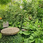 Naehe Nationalpark Appartement Baiersbronn