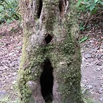 Naehe Nationalpark Appartement