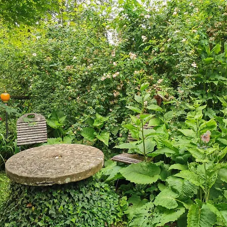 Naehe Nationalpark Appartamento Baiersbronn