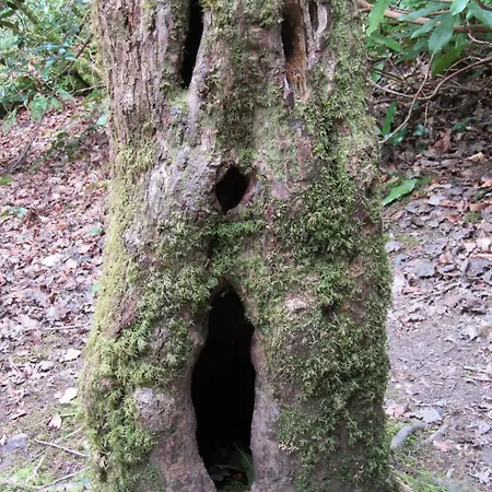 Naehe Nationalpark Lejlighed